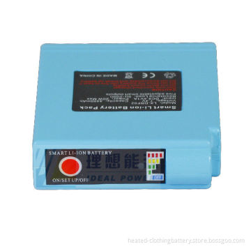Adjustable 12v 2600mah Heated Lithium Ion Rechargeable Batteries With Protection Circuit